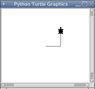 Turtle Shape